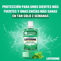 LISTERINE Bain de bouche Dents et Gencives Saveur Menthe 500 ml + 250 ml GRATUITS