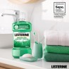LISTERINE Bain de bouche Dents et Gencives Saveur Menthe 500 ml + 250 ml GRATUITS