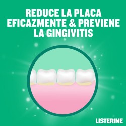 LISTERINE Bain de bouche Dents et Gencives Saveur Menthe 500 ml + 250 ml GRATUITS