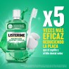LISTERINE Bain de bouche Dents et Gencives Saveur Menthe 500 ml + 250 ml GRATUITS