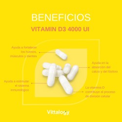 Vittalogy Vitamin D3 4000 IU 2x120 Capsules【VALUE PACK】