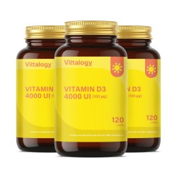 Vittalogy Vitamin D3 4000 IU 3 x 120 Capsules 【VALUE PACK】