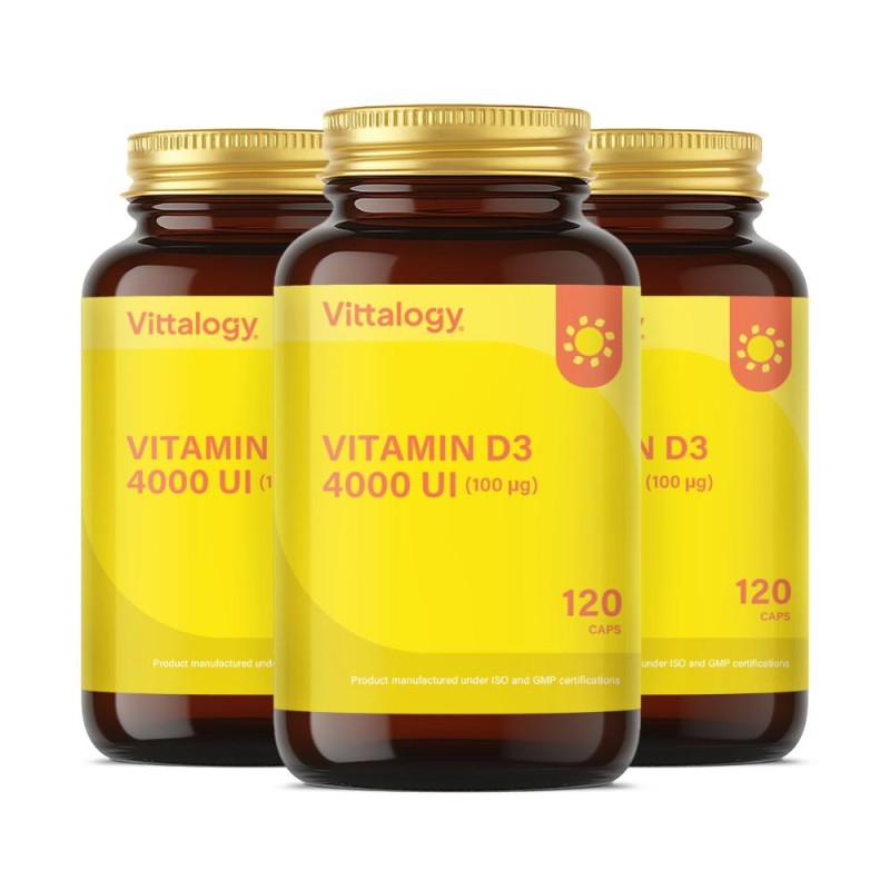 Vittalogy Vitamin D3 4000 IU 3 x 120 Capsules 【VALUE PACK】 Vittalogy Vitamin D3 4000 IU 3 x 120 Capsules 【VALUE PACK】