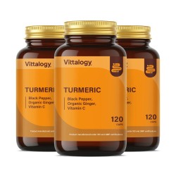 Vittalogy Turmeric 3x120 capsules【SAVING PACK】