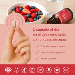 Vittalogy Roter Hefereis Premium 120 Kapseln