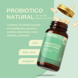Vittalogy Probiotics + Enzymes 2x60 Tablets【SAVING PACK】