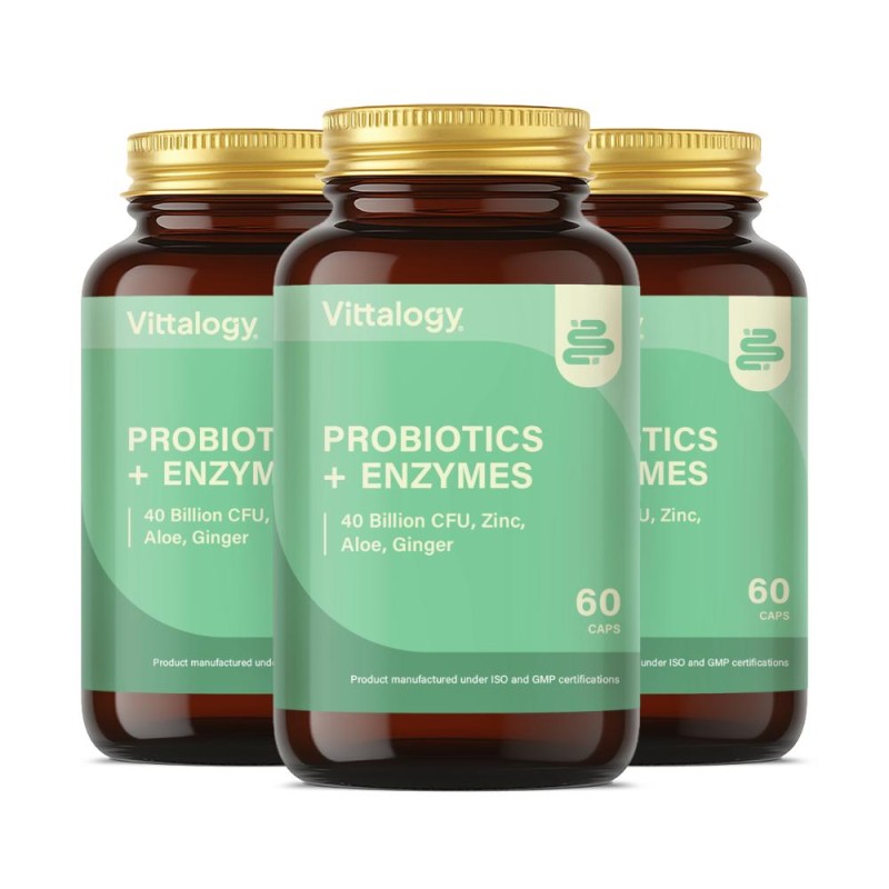 Vittalogy Probiotics + Enzymes 3 x 60 Tablets 【VALUE PACK】 Vittalogy Probiotics + Enzymes 3 x 60 Tablets 【VALUE PACK】