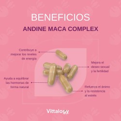Complexe Maca Andine Vittalogy 2x120 Capsules 【PACK ÉCONOMIQUE】