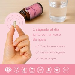 Complexe Maca Andine Vittalogy 2x120 Capsules 【PACK ÉCONOMIQUE】