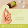 Vittalogy Immuno Boost Complex 2x120 Capsules 【PACK ÉCONOMIQUE】