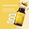 Vittalogy Focus & Balance 3x60 Capsules 【PACK ÉCONOMIE】