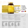 Vittalogy Focus & Balance 3x60 Capsules【SAVINGS PACK】