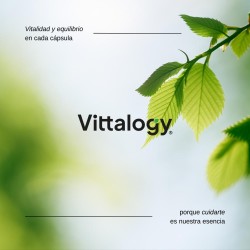 Vittalogy Focus & Balance 3x60 Capsules【SAVINGS PACK】