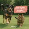 Vittalogy Aceite de Salmón para Perros y Gatos 500ml