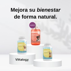 Vittalogy Aceite de Salmón para Perros y Gatos 500ml