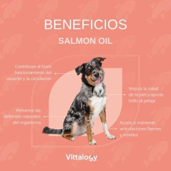 Vittalogy Salmon Oil for Dogs Duplo 2x500ml