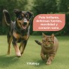 Vittalogy Salmon Oil for Dogs Duplo 2x500ml