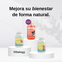 Vittalogy Salmon Oil for Dogs Duplo 2x500ml