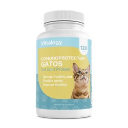 Vittalogy Chondroprotektor für Katzen 120 Kapseln