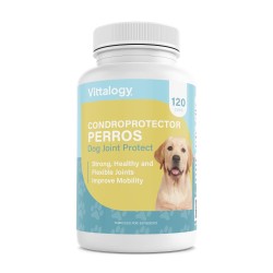 Vittalogy Chondroprotector for Dogs 120 Capsules