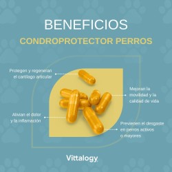 Vittalogy Condroprotector para Perros 120 Cápsulas