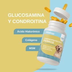 Vittalogy Condroprotector para Perros 120 Cápsulas