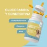 Vittalogy Condroprotector para Perros 120 Cápsulas
