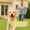 Vittalogy Condroprotector para Perros 120 Cápsulas