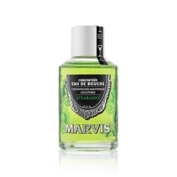 Bain de bouche concentré à la menthe verte Marvis 120 ml
